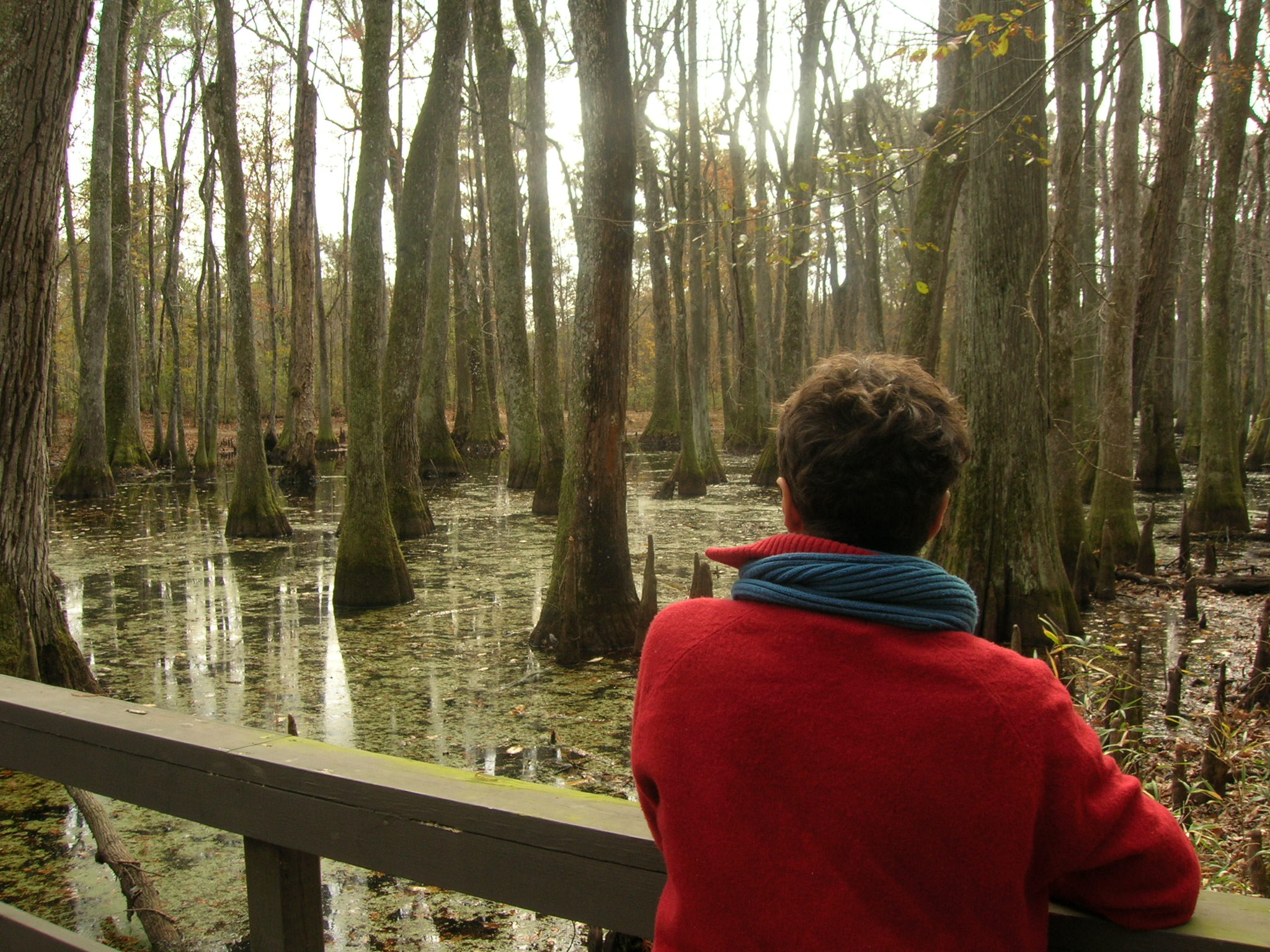 marais